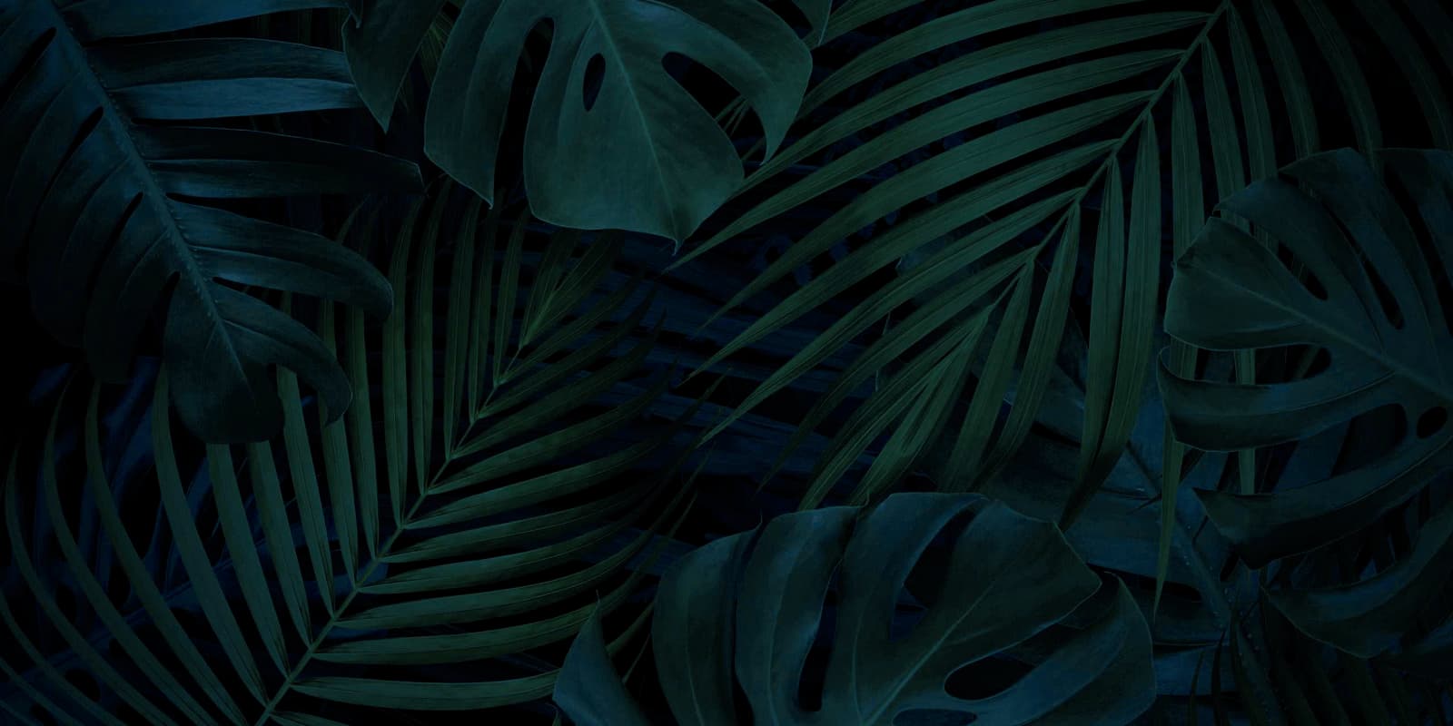 Departamento - Playa Grande