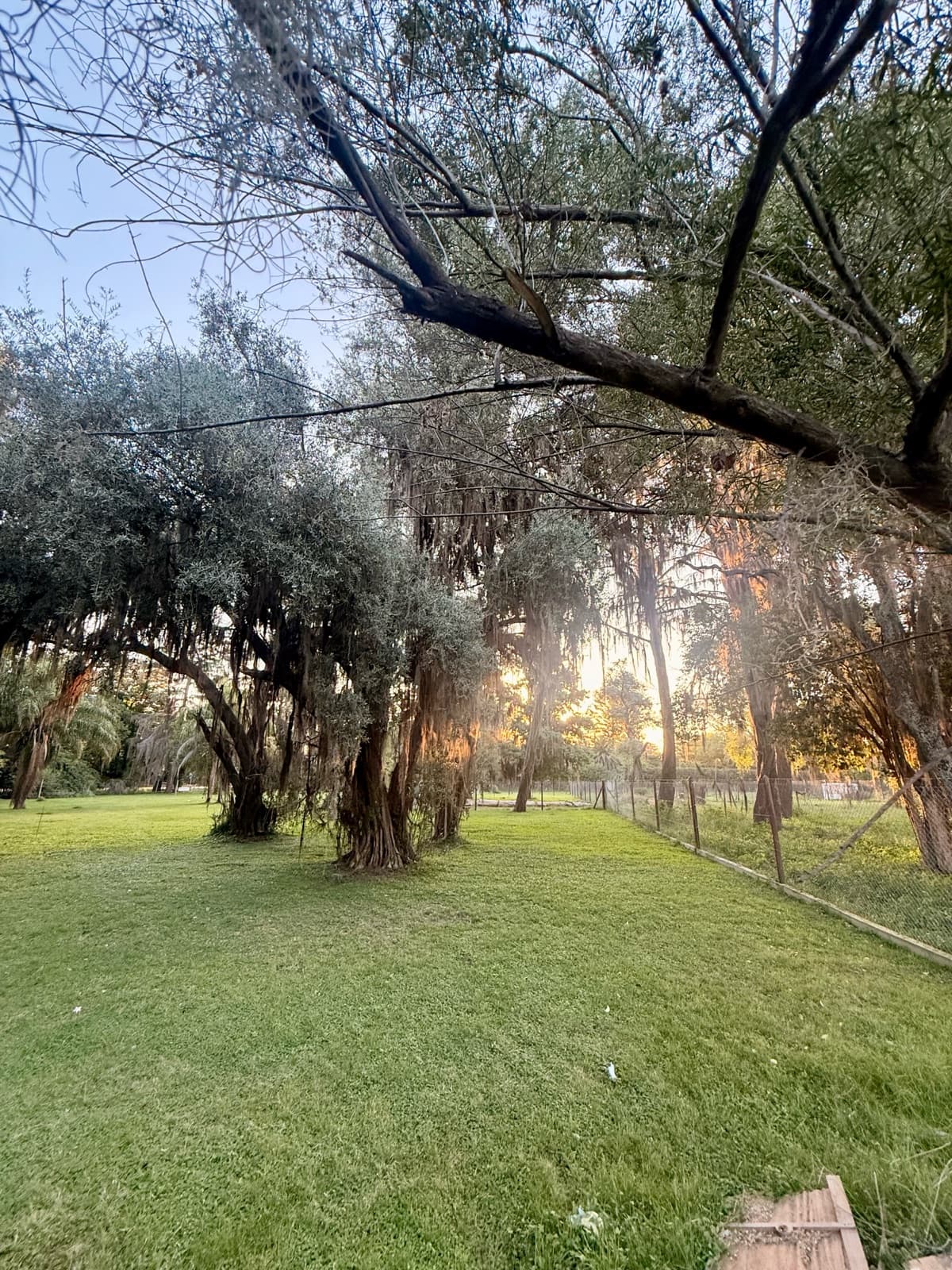 Land for sale on a paved road, just a few meters from Route 9, Garita 13 bis, natural gas