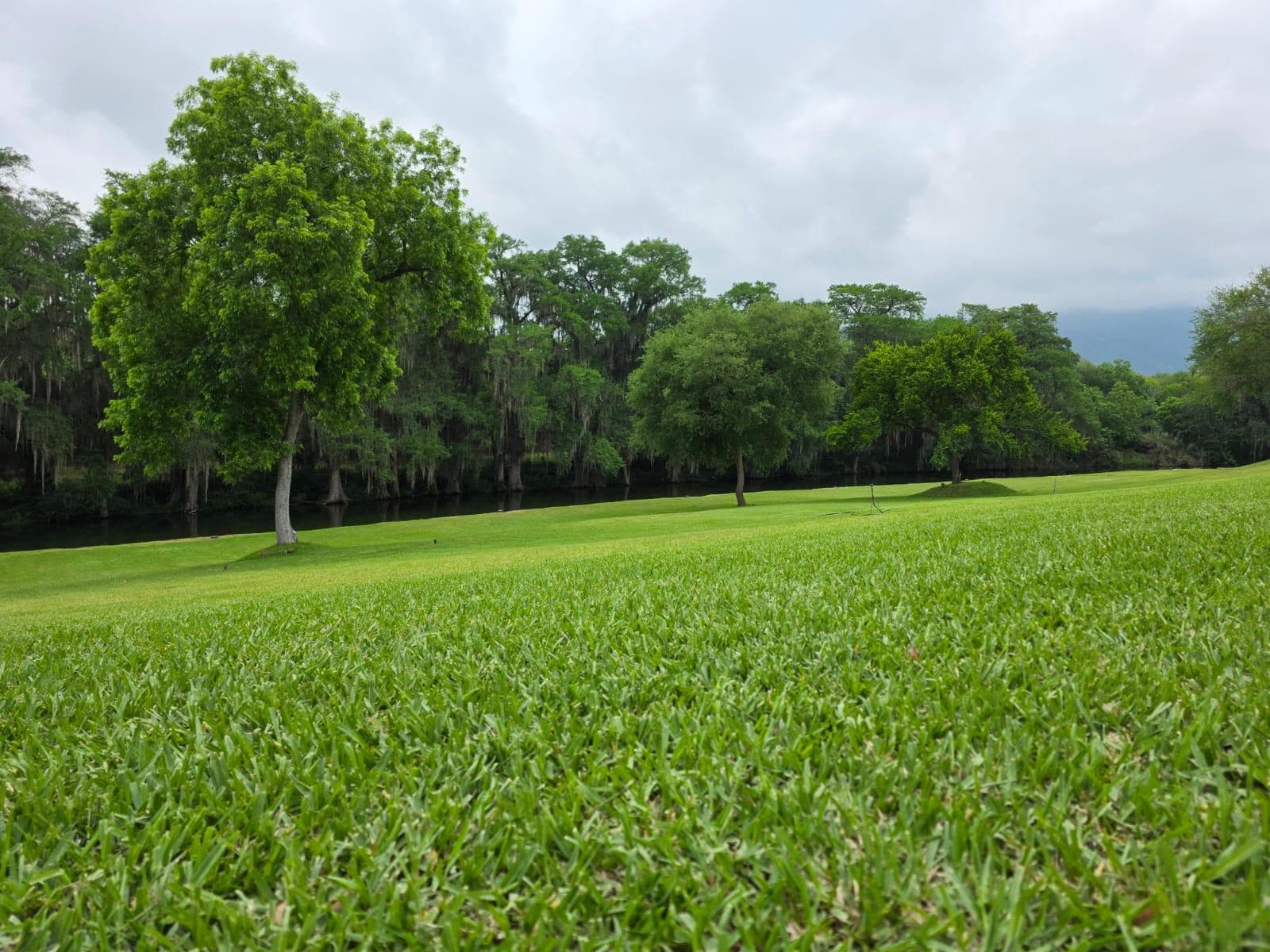 Lots for Sale in the Campestre Residential Community in Santiago, NL