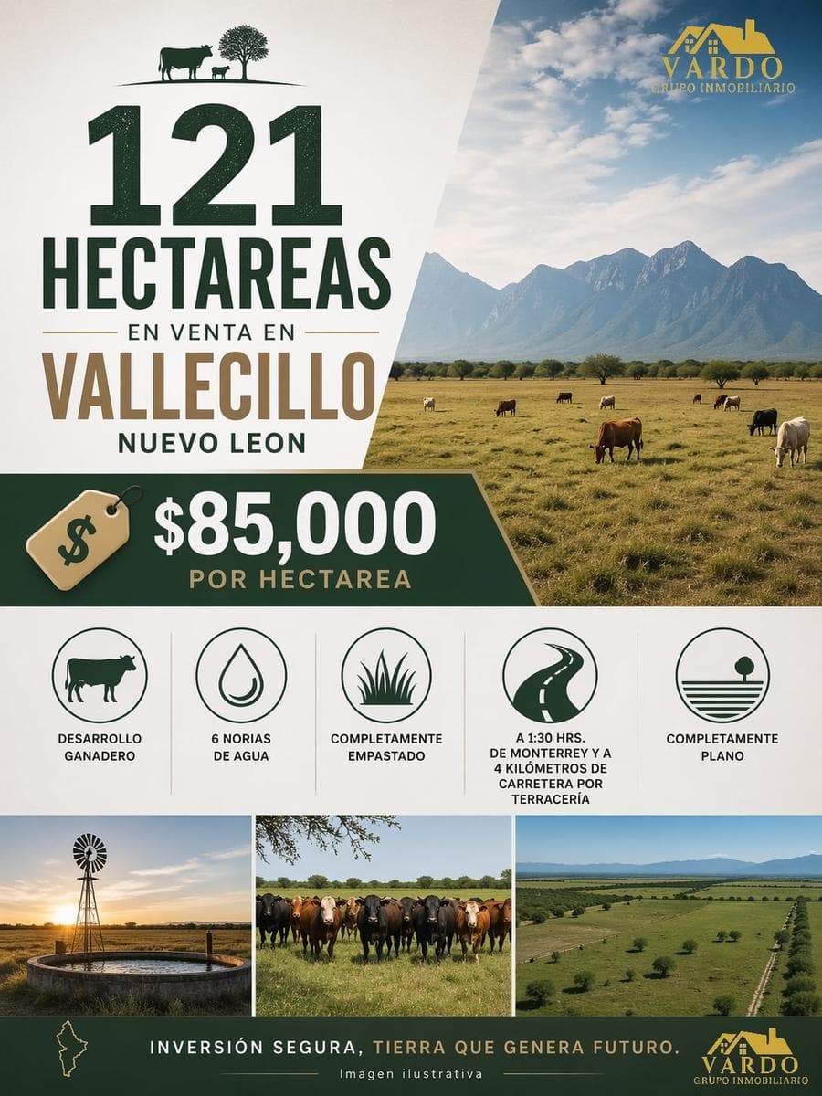 Land for Sale (Vallecillo, Nuevo León)