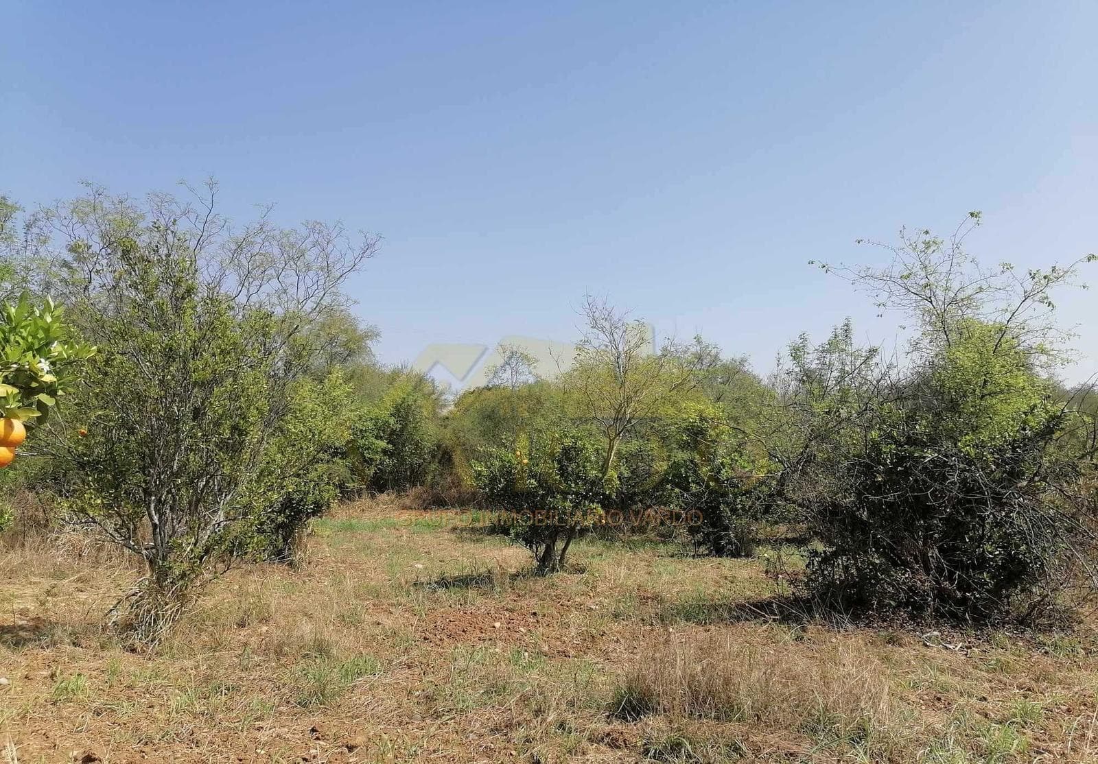 Rural Land for Sale - Atongo de Arriba, Nuevo León