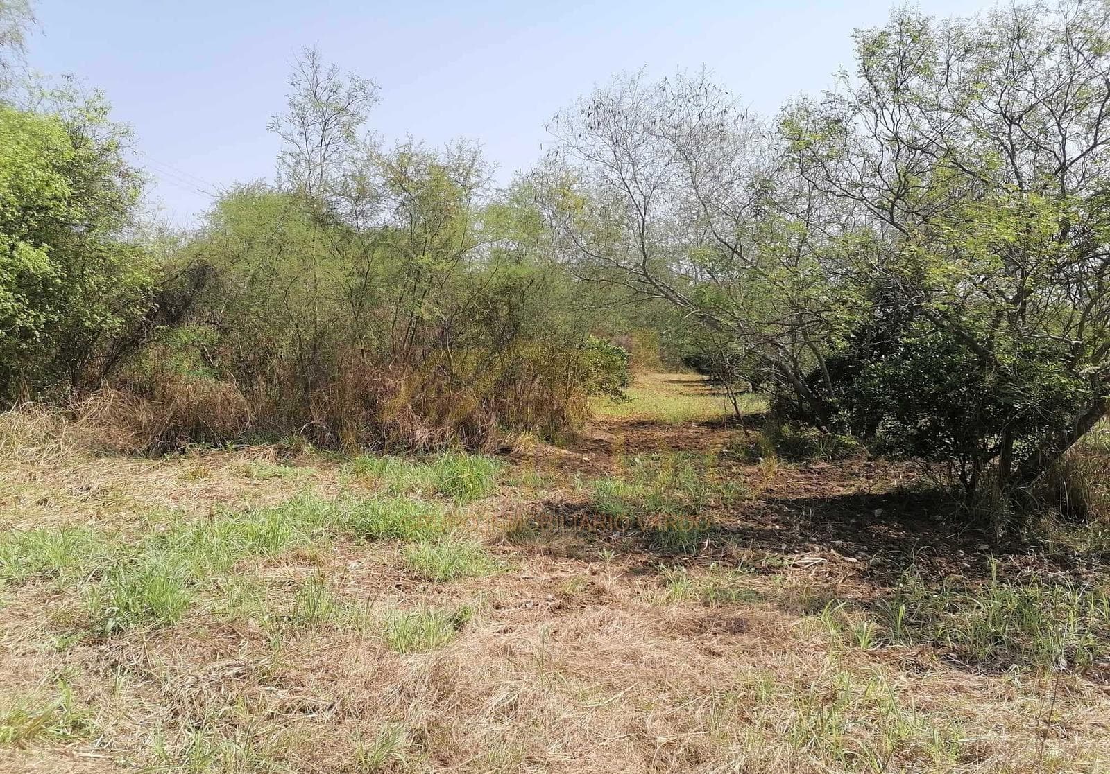 Rural Land for Sale - Atongo de Arriba, Nuevo León