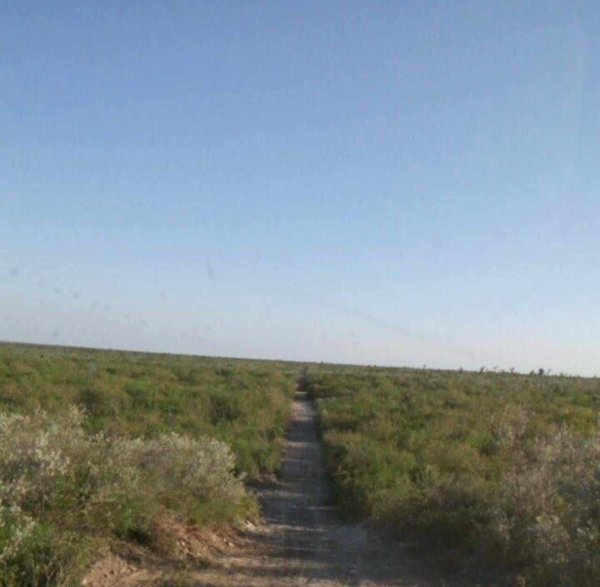 Land for Sale - Vallecillo, Nuevo León