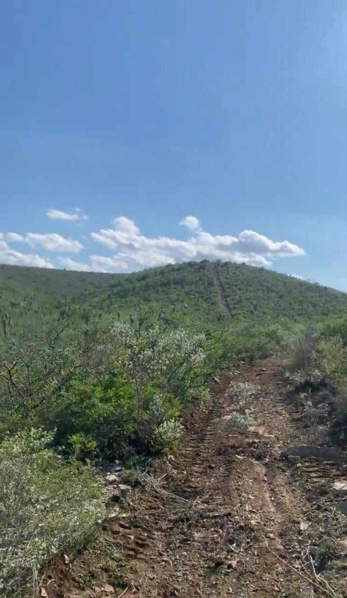 Land for Sale - Vallecillo, Nuevo León