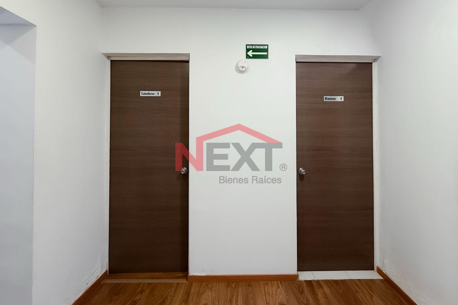 OFFICE FOR RENT IN THE EL MARIACHI NEIGHBORHOOD