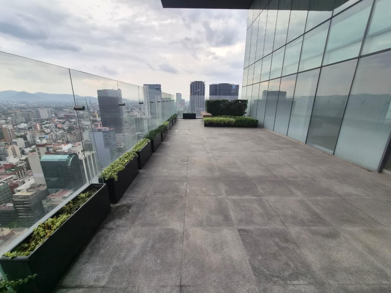 Office for Rent on Reforma