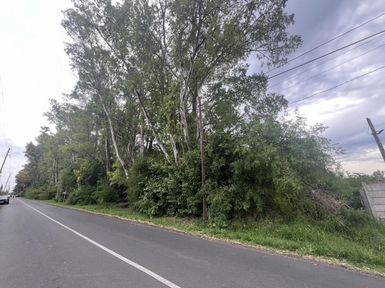 Land ideal for real estate development.
