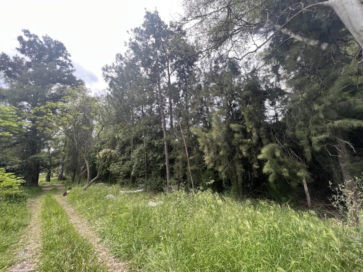 Land ideal for real estate development.