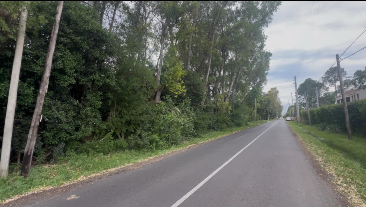 Land ideal for real estate development.
