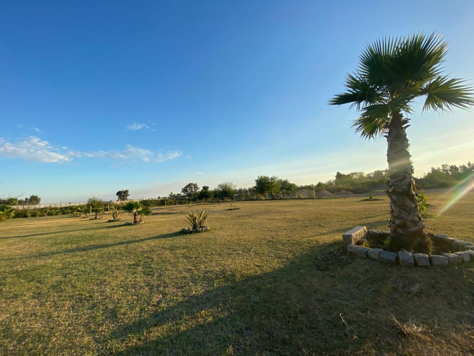 Land - Benavidez