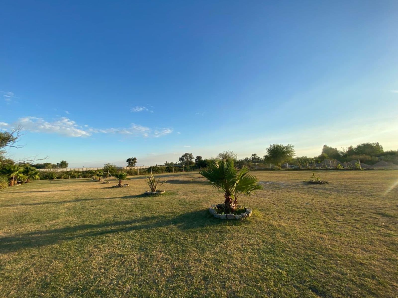 Land - Benavidez