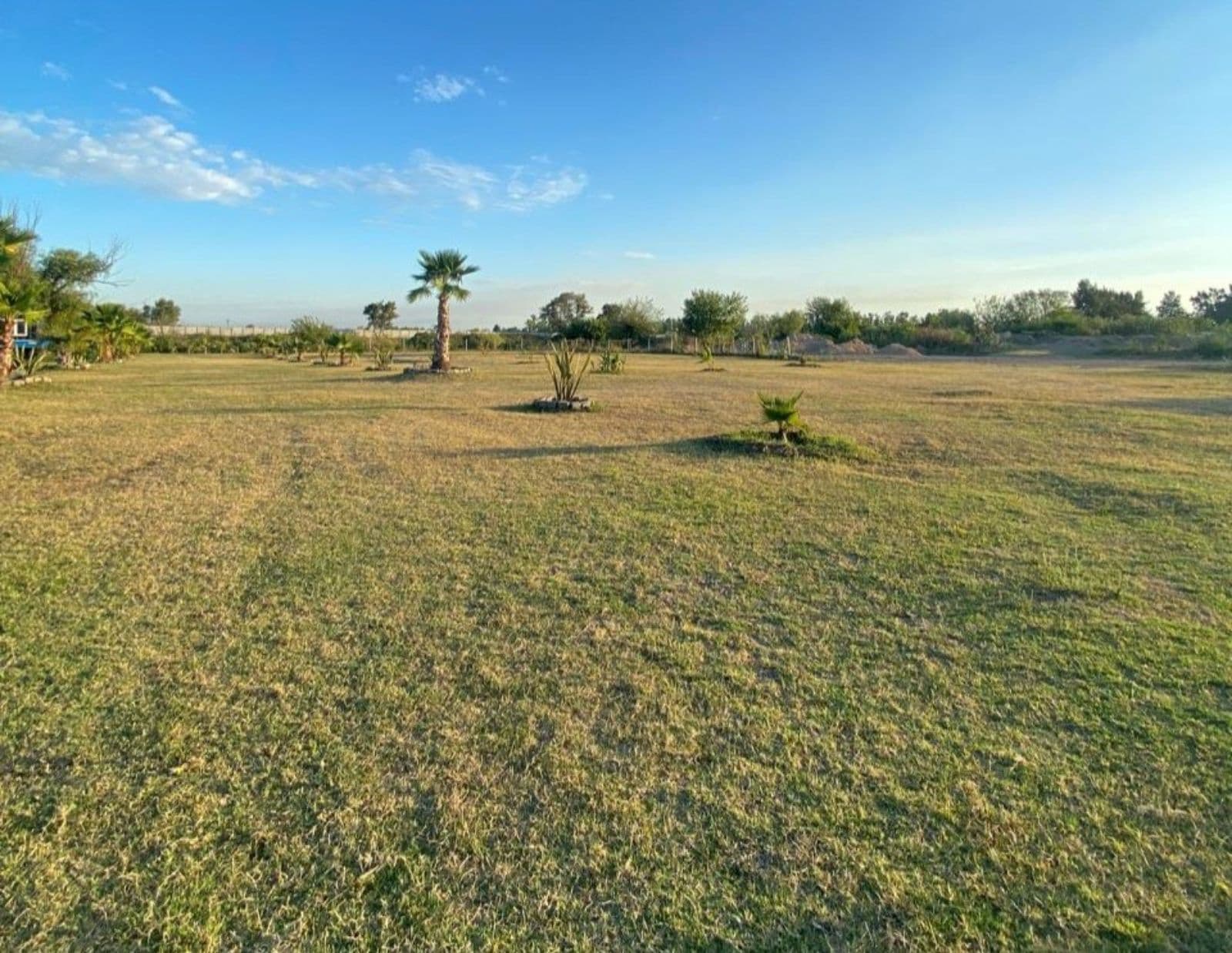 Land - Benavidez