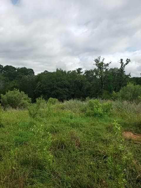 Ranch for Sale (Auction) in Nueva Rosita, Coahuila. Ideal for Cattle Ranching
