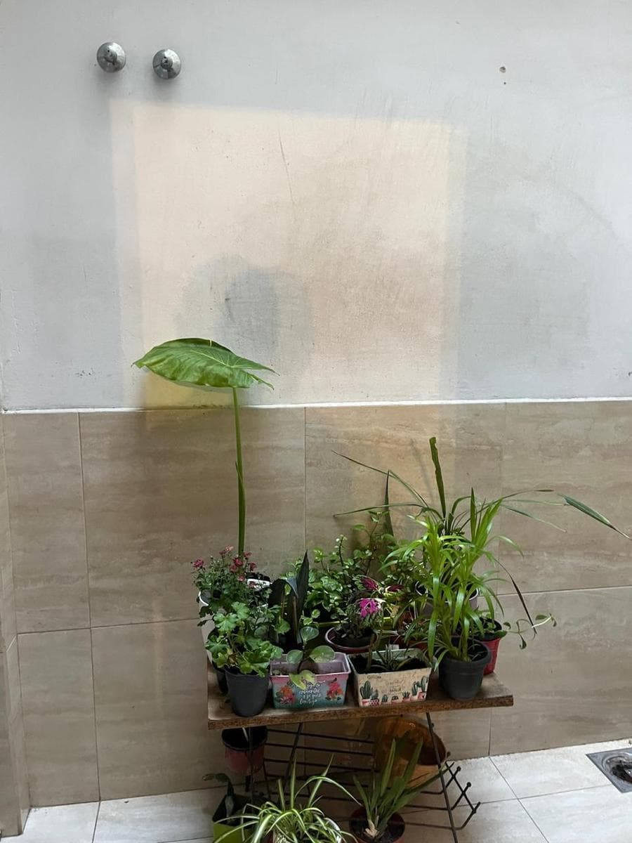 Apartment building, 9 units, Piñeyro. Investment property with rental income