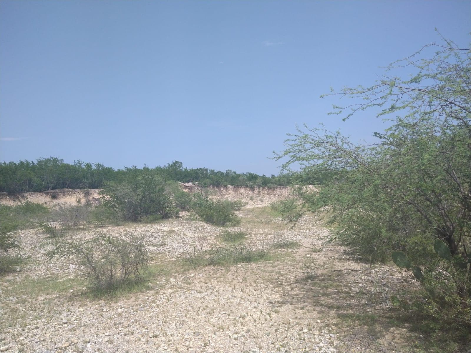 58-hectare Ranch for Sale in General Terán, between Linares and Terán, Nuevo León