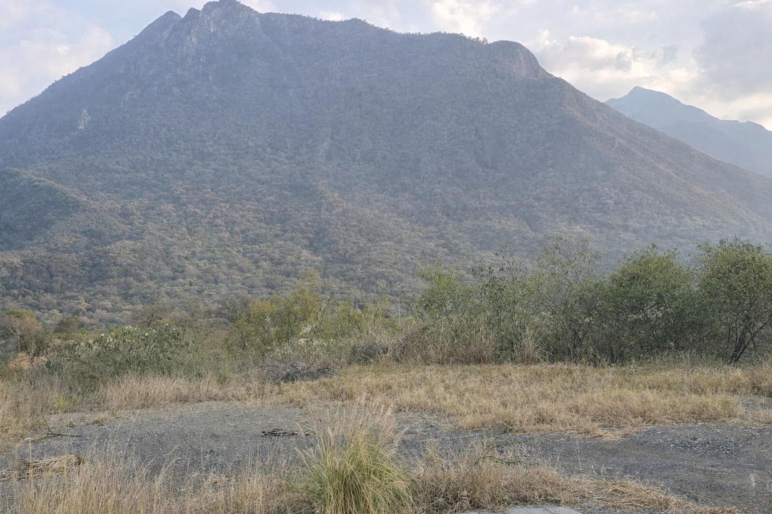 Residential Lot for Sale. San Eugenio Subdivision, Allende, N.L.