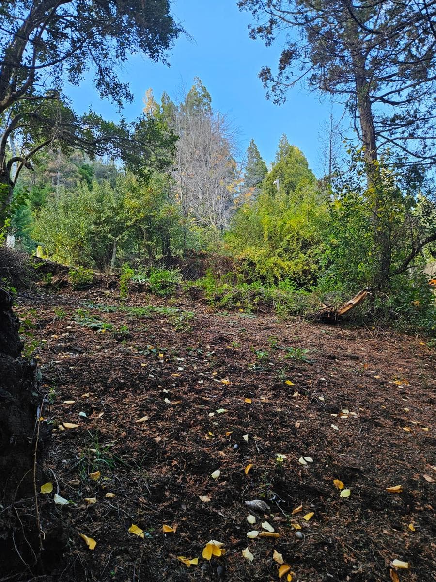 Lot in the El Trébol Neighborhood