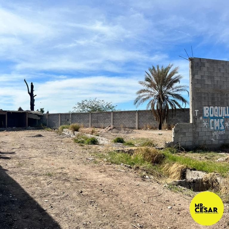 Land for sale in Colonia Palo Verde, south of Hermosillo, Sonora.