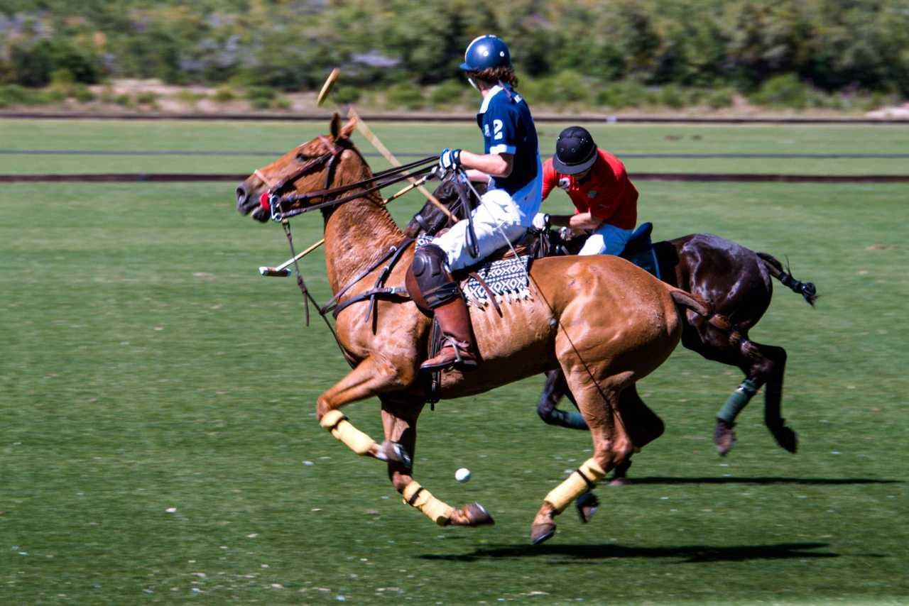 House for sale in Arelauquen Golf