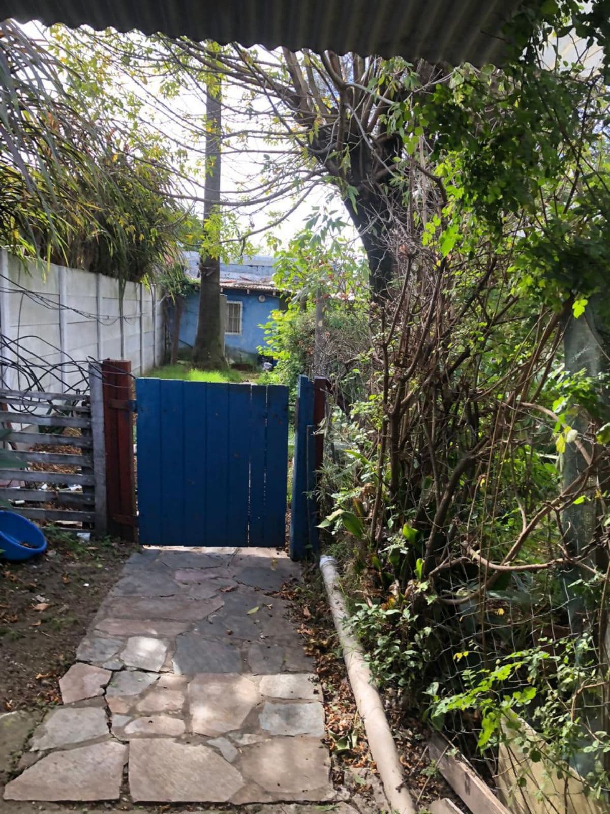 House - Benavidez
