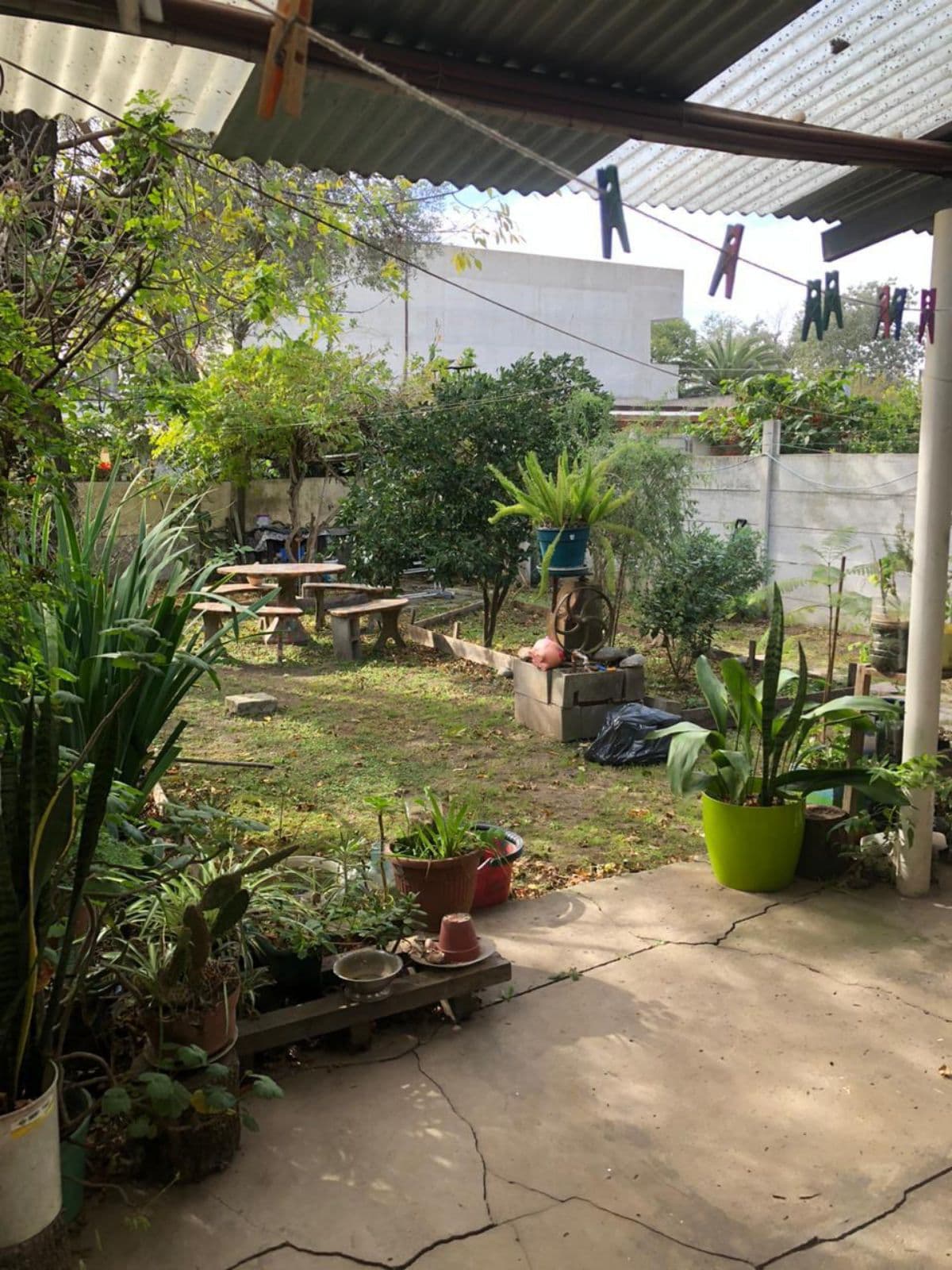 House - Benavidez