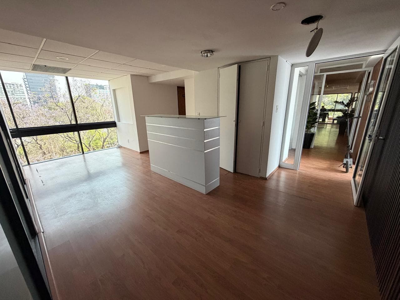 Office for Rent in Polanco