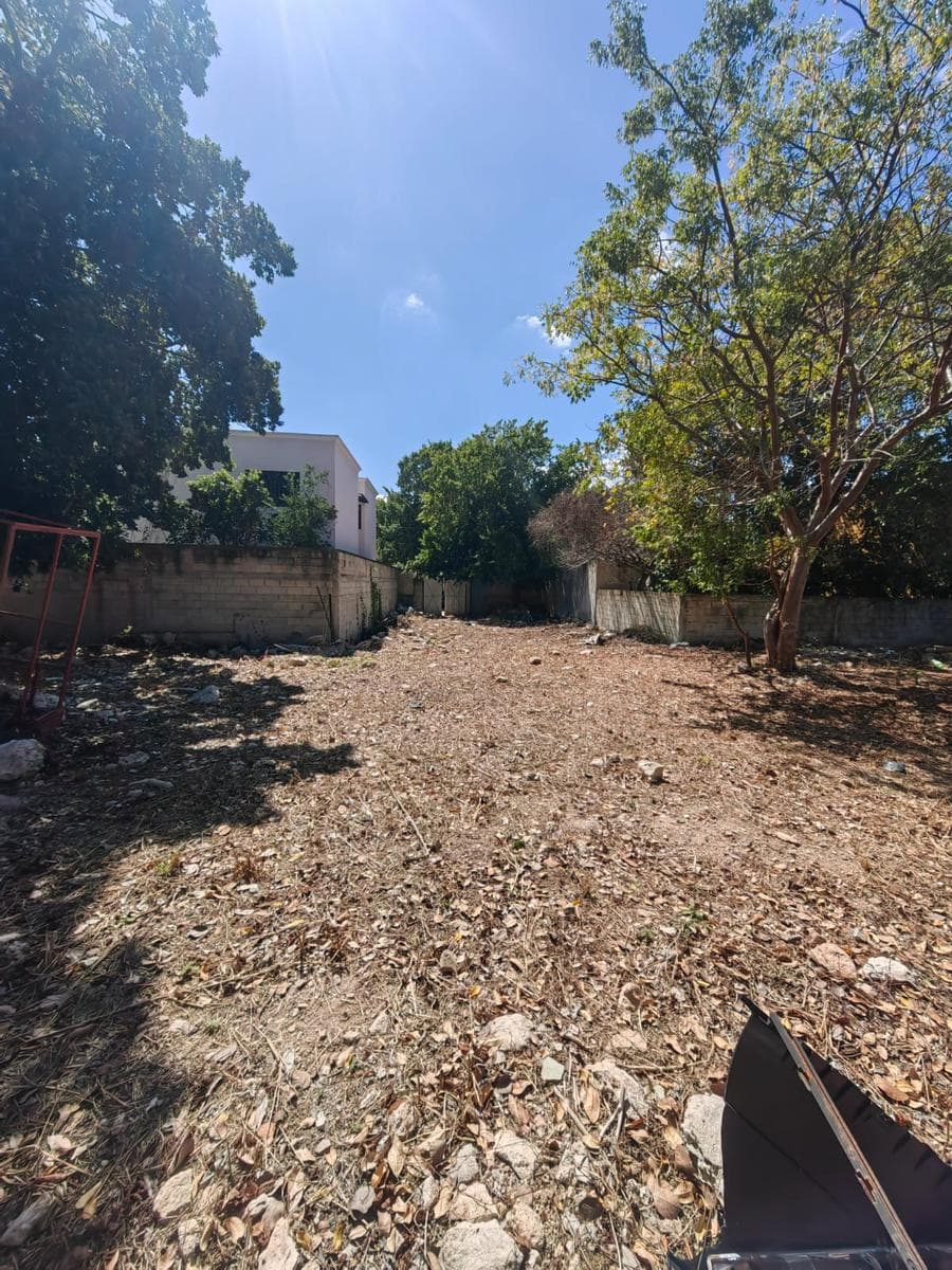 LAND FOR SALE IN MÉRIDA, SAN DAMIAN: 800 m²