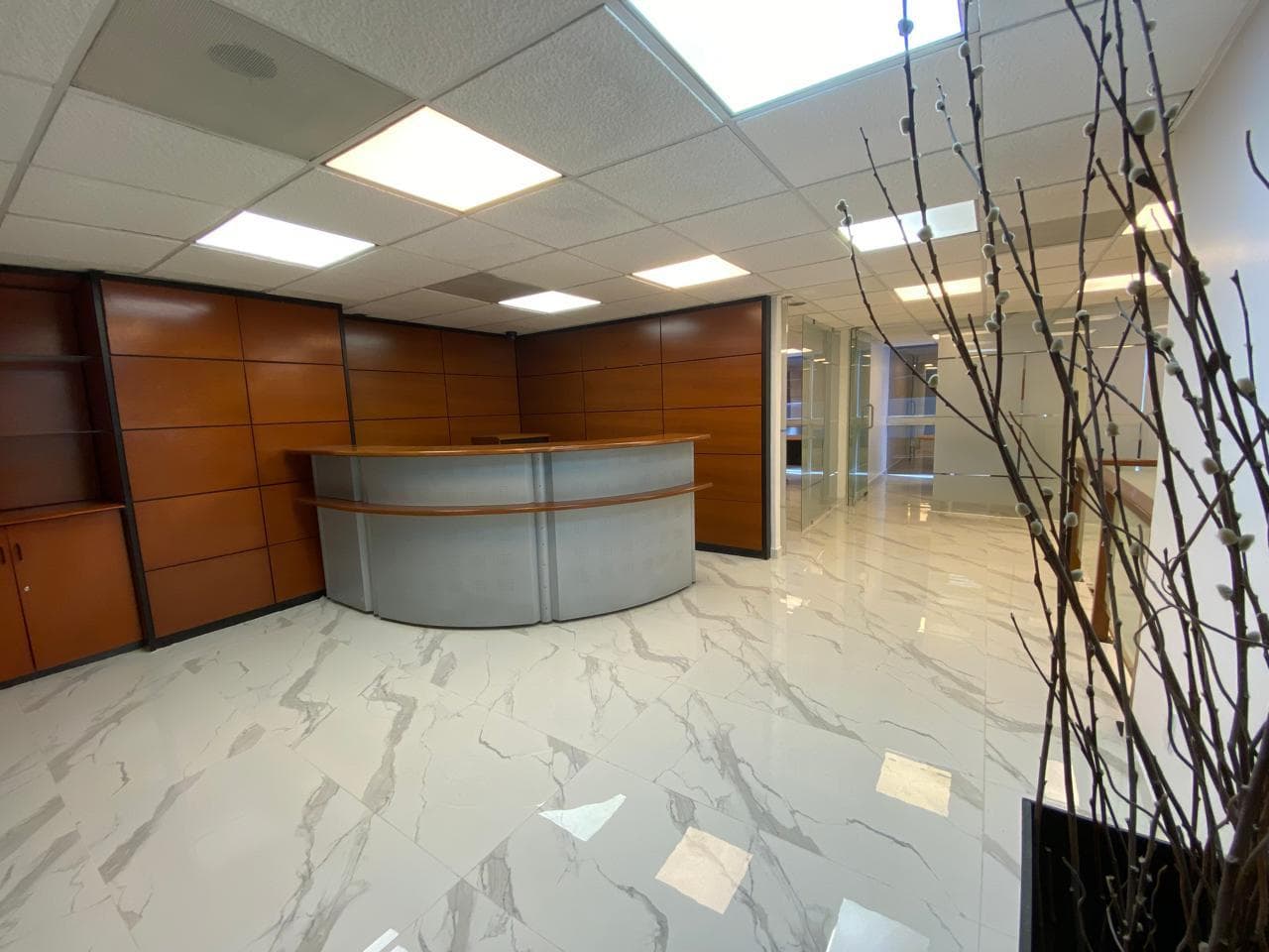 Office for Rent in Bosques de Ciruelos, Bosques de las Lomas