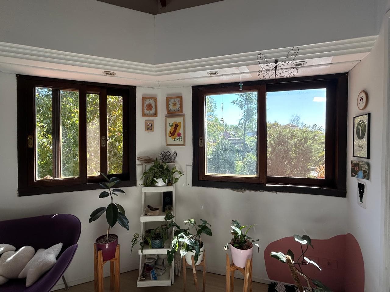 House in Los Laureles