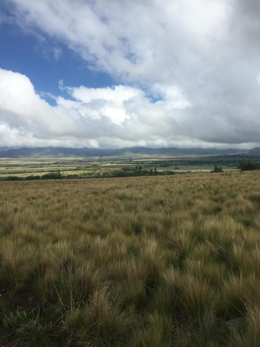 Dream Lot in Estancia Atamisque - La Carrera, Tupungato