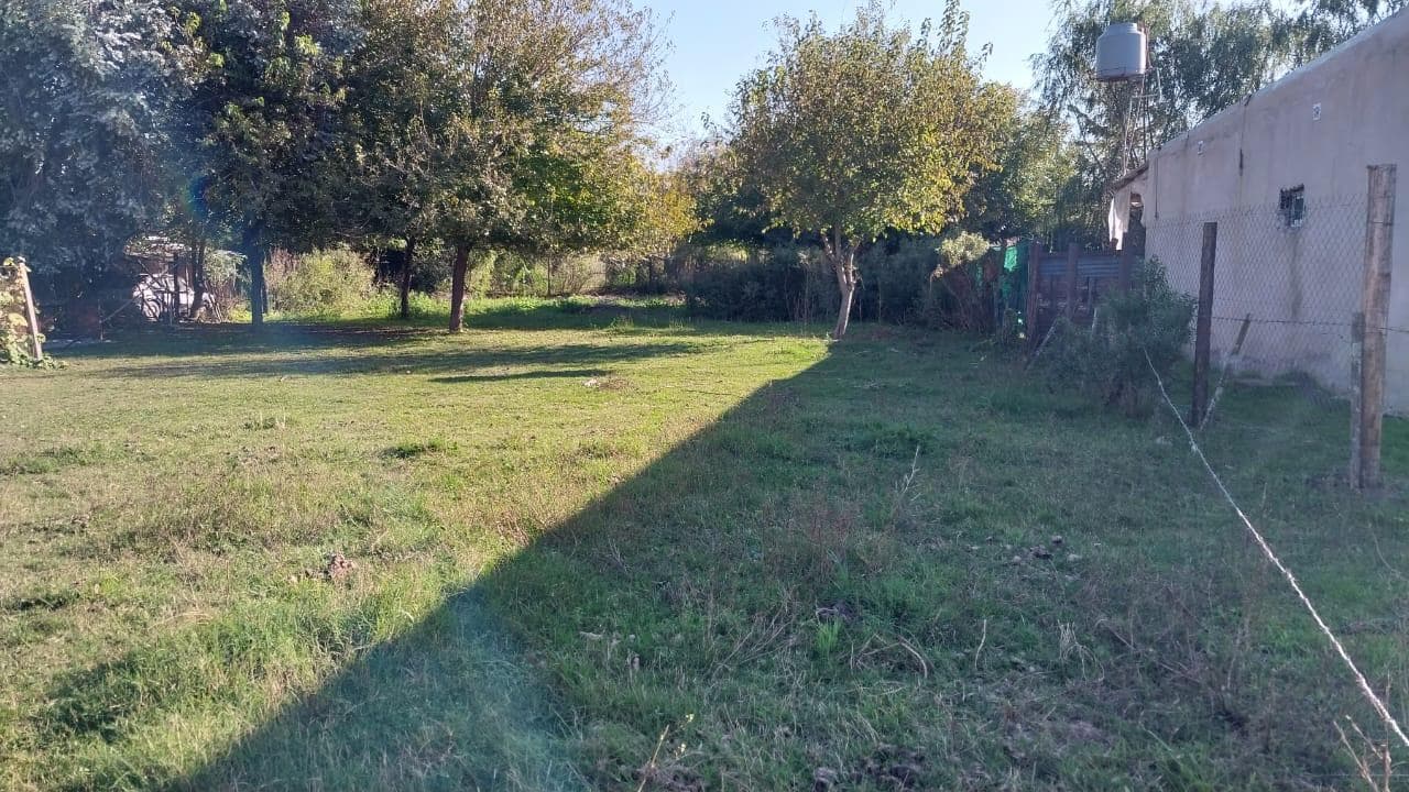 1,000-square-meter lot with a grove of trees, electricity, and gas