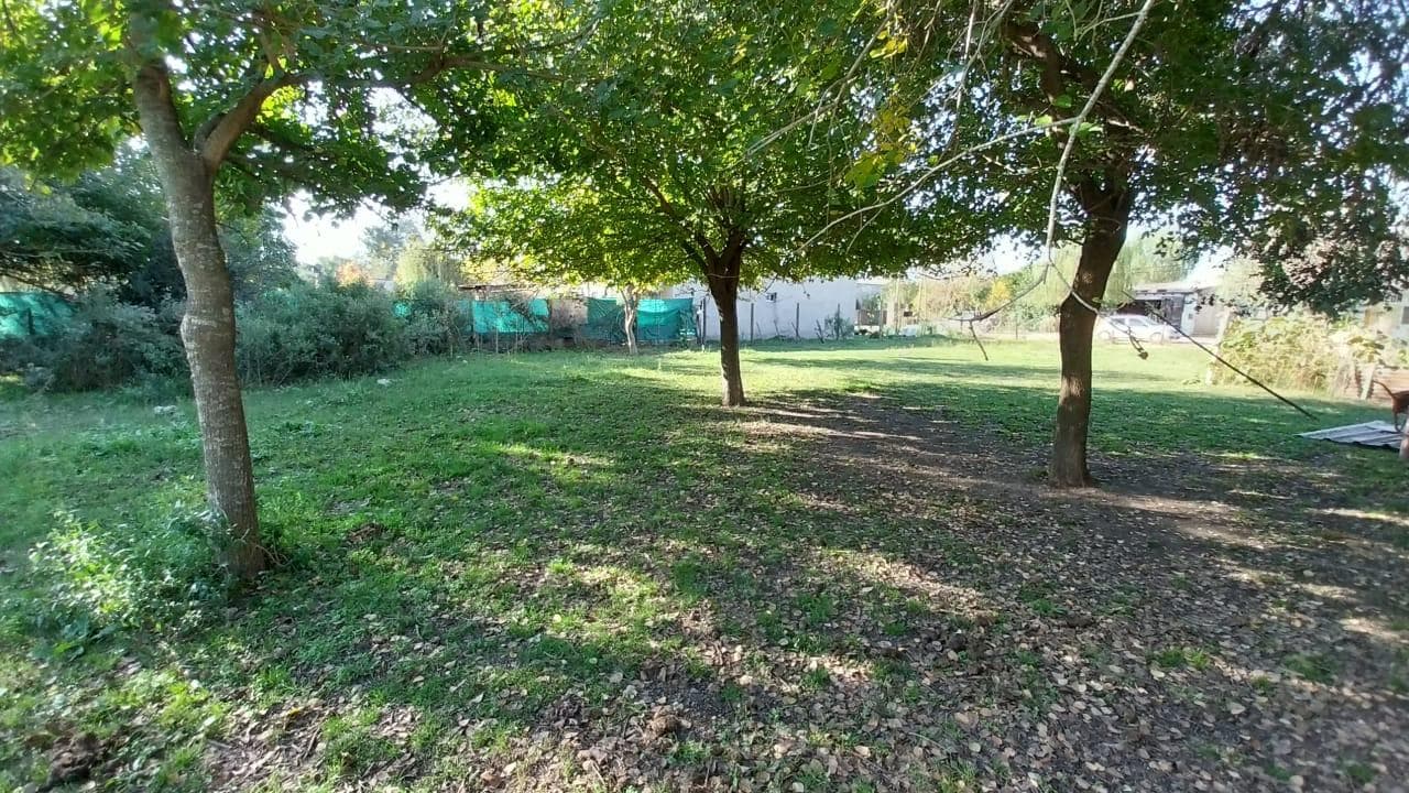 1,000-square-meter lot with a grove of trees, electricity, and gas
