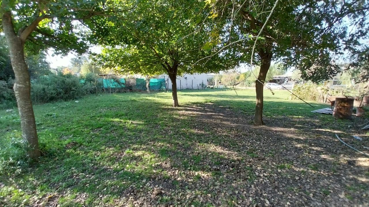 1,000-square-meter lot with a grove of trees, electricity, and gas
