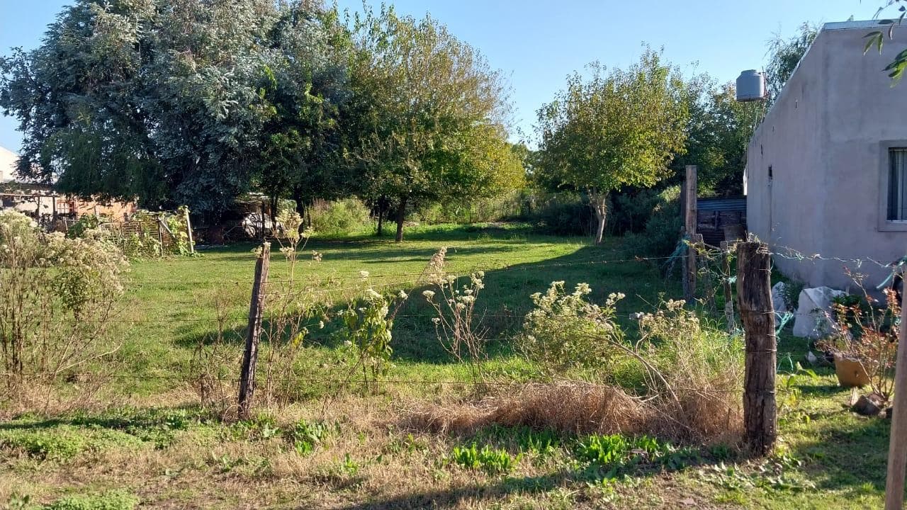 1,000-square-meter lot with a grove of trees, electricity, and gas