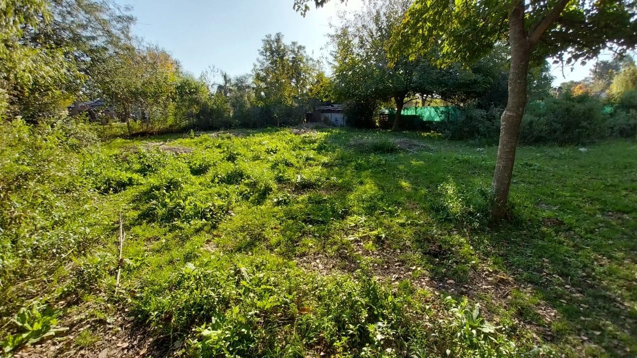 1,000-square-meter lot with a grove of trees, electricity, and gas