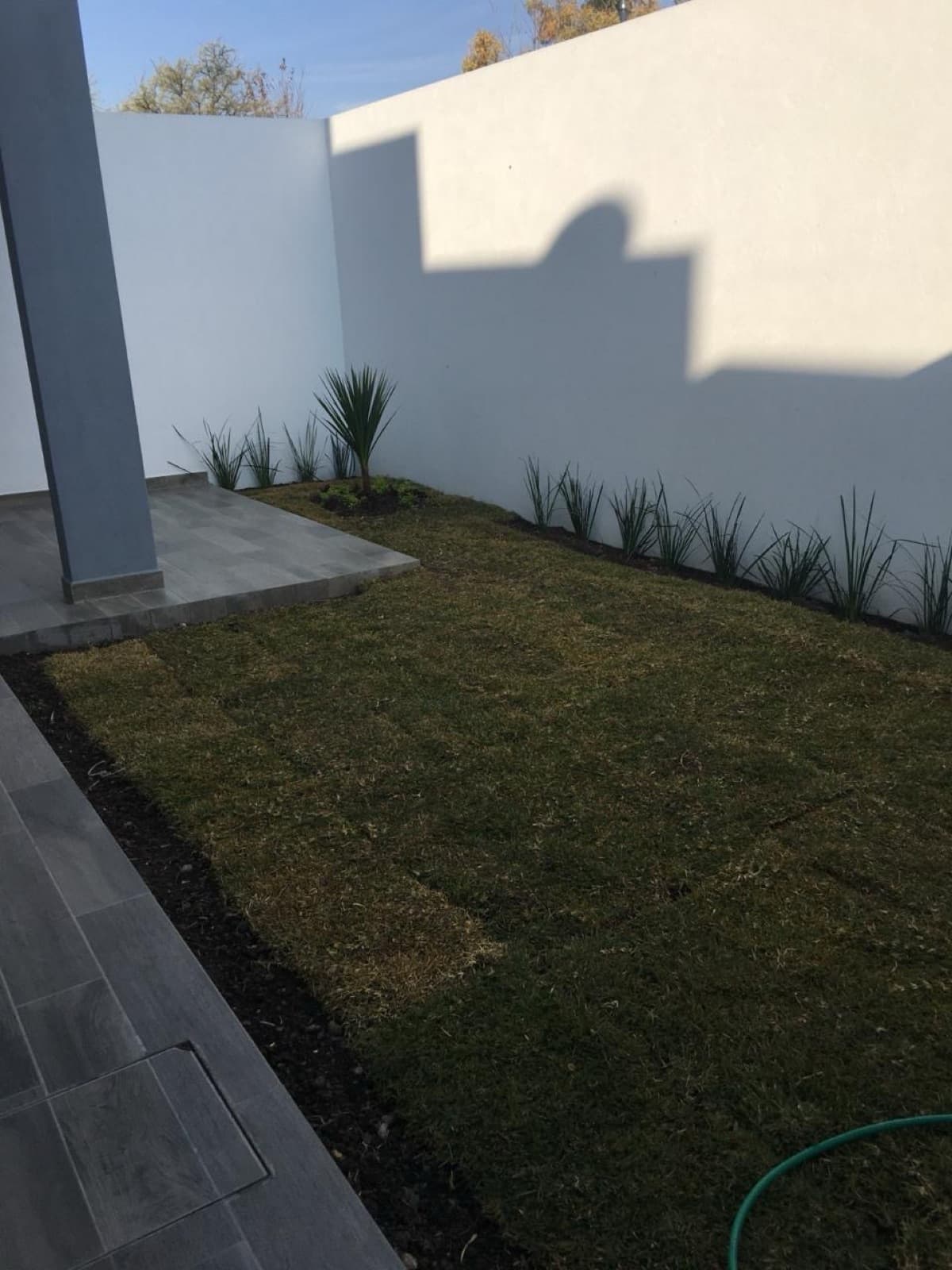 Home - Cavalia Condominium