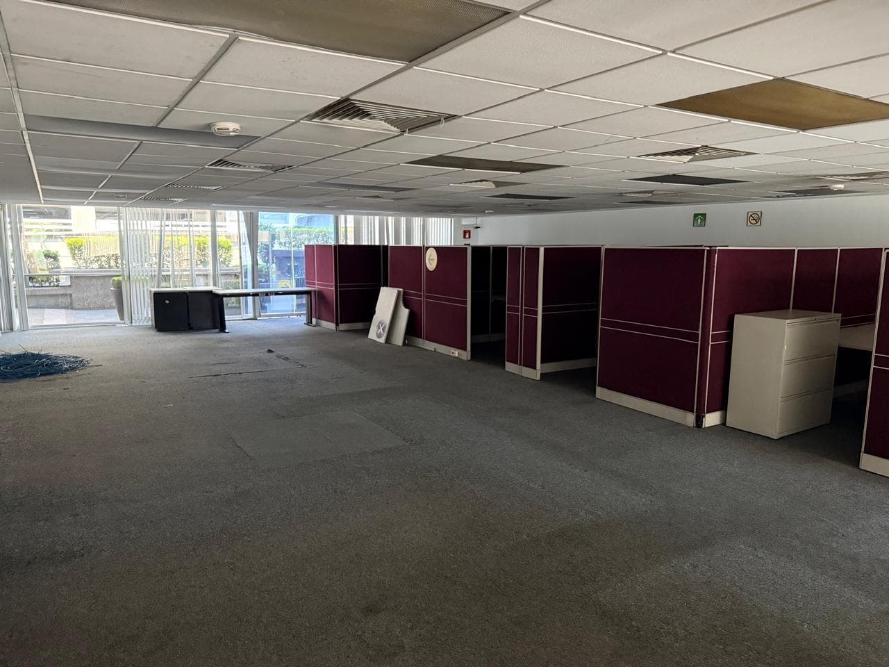 Office for Rent in Bosque de las Lomas