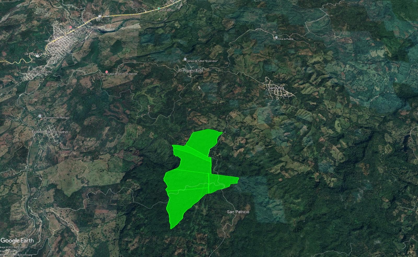 200-hectare coffee farms