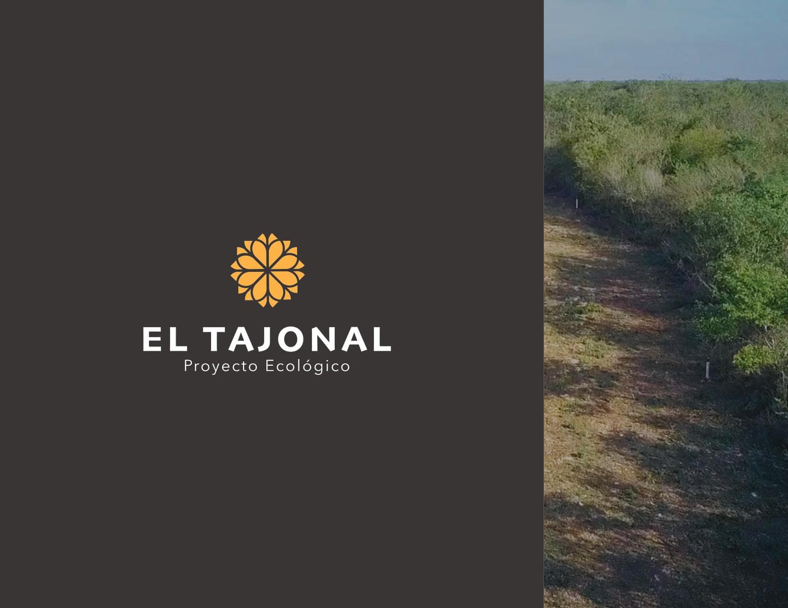 Land for sale in Cacalchen, Yucatan