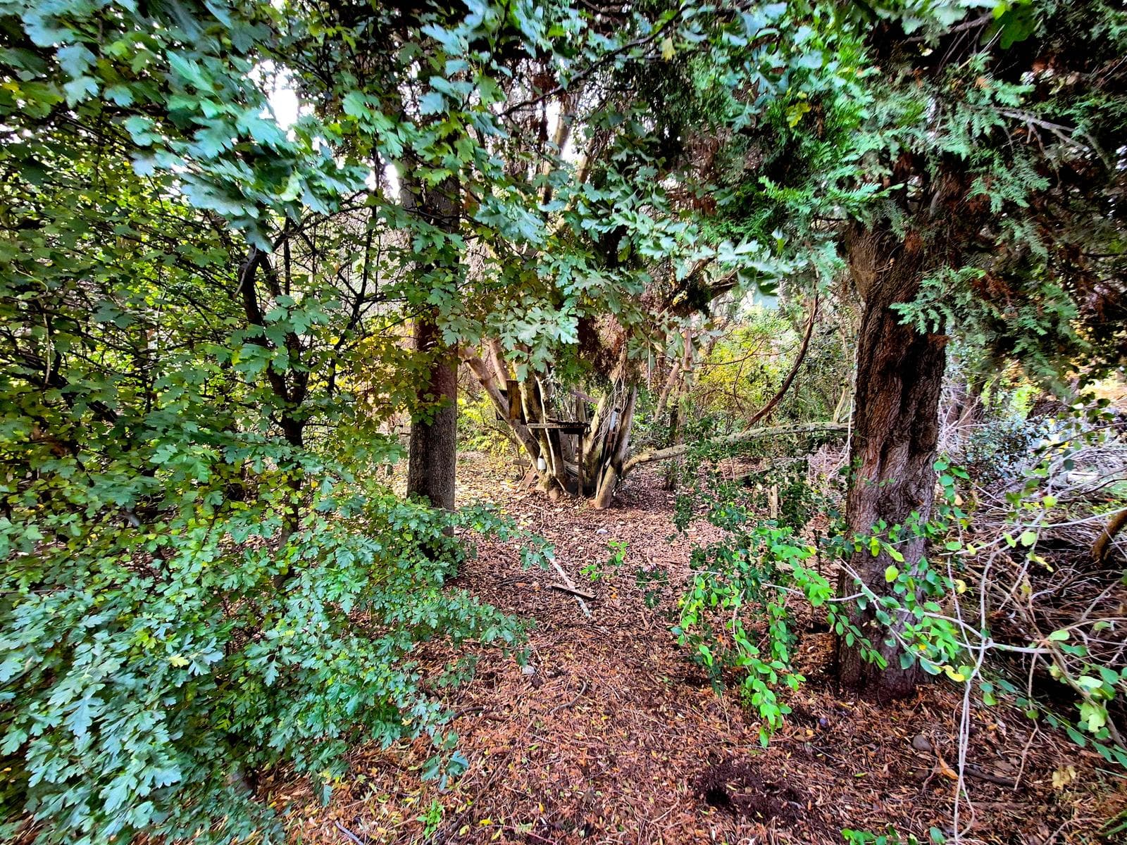 Land for Sale in the San Ignacio del Cerro Neighborhood - Bariloche