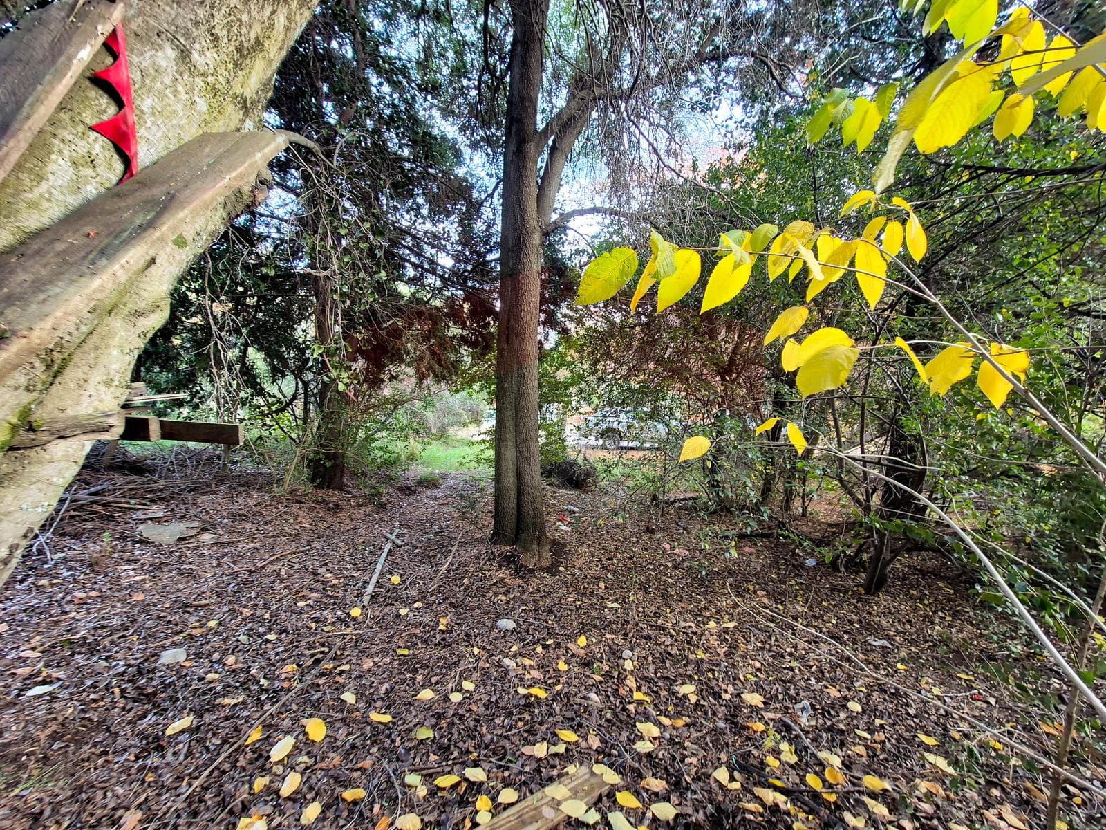 Land for Sale in the San Ignacio del Cerro Neighborhood - Bariloche
