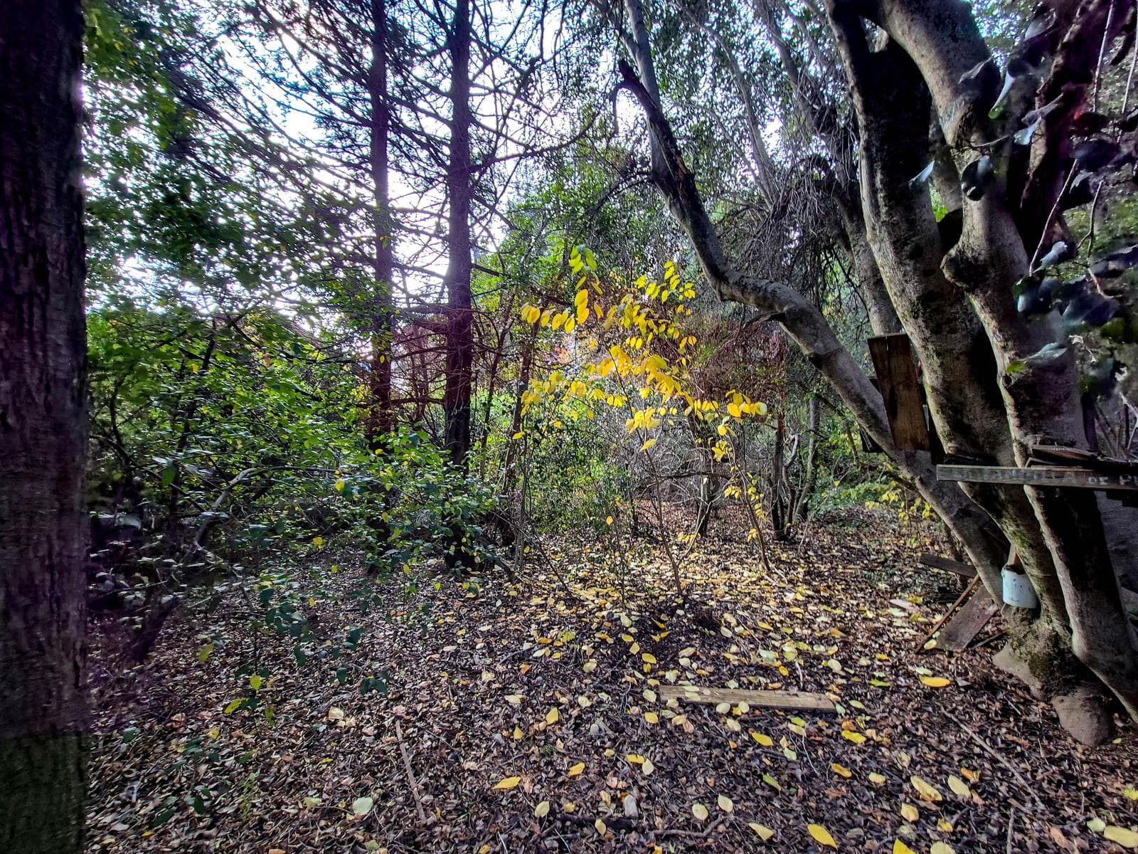 Land for Sale in the San Ignacio del Cerro Neighborhood - Bariloche