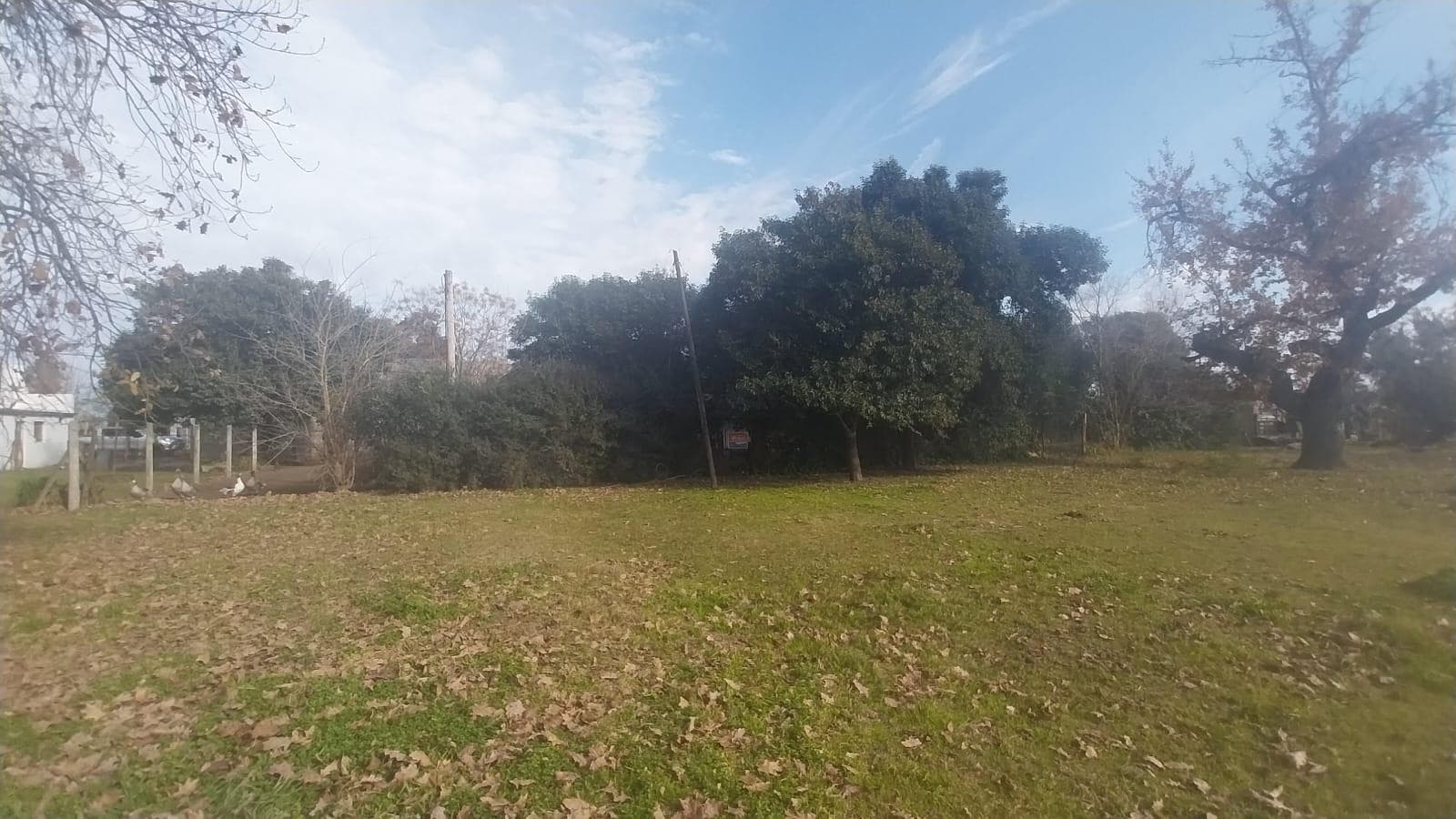 500-square-meter lot—a great investment opportunity!