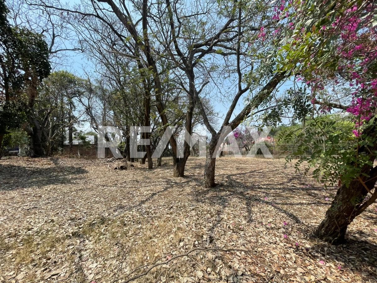 Land for Sale in Morelos, Palmira Tinguindin, Cuernavaca