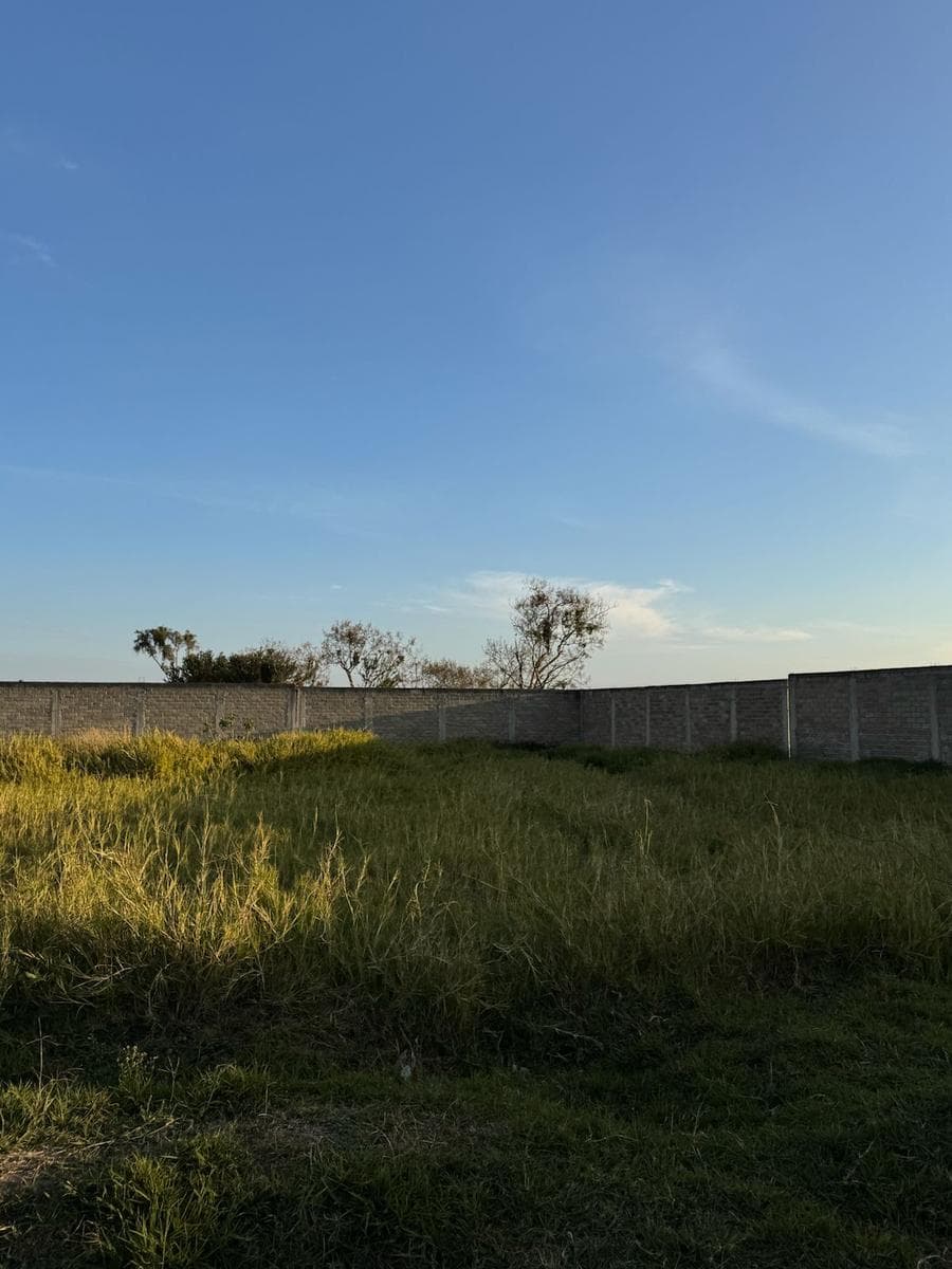 Lot 61