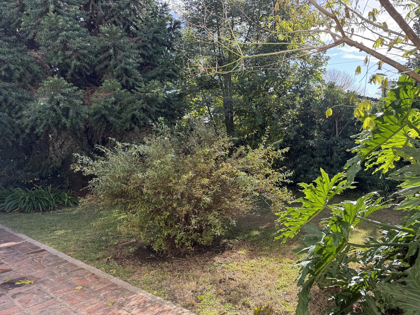 House for sale in Villa Elisa, La Plata: 423 between 6th Street and Camino Centenario. TWO LOTS. BANK-APPROVED