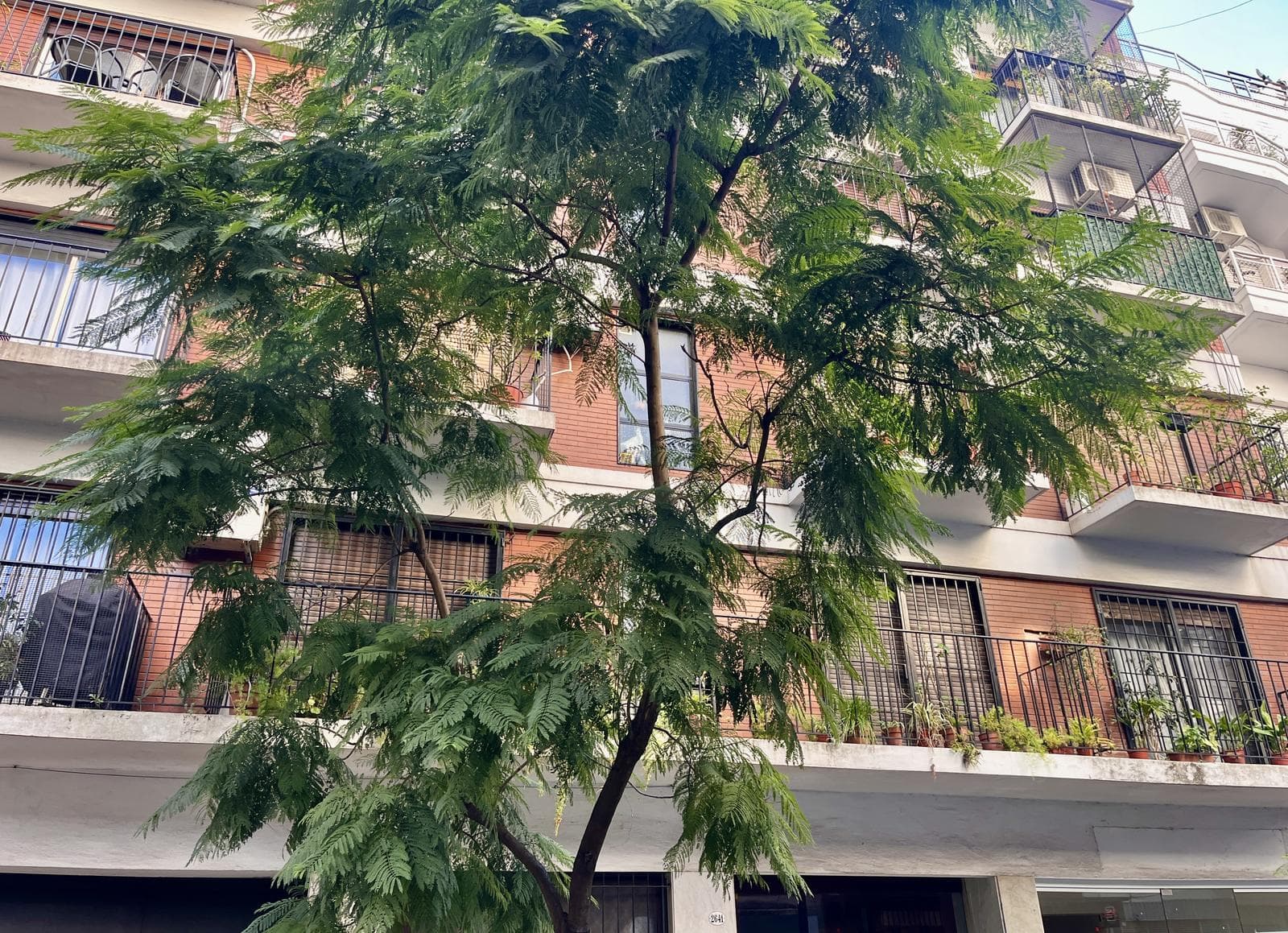 2-Bedroom Apartment for Sale with Patio in Recoleta, Needs Renovation—IDEAL FOR INVESTORS