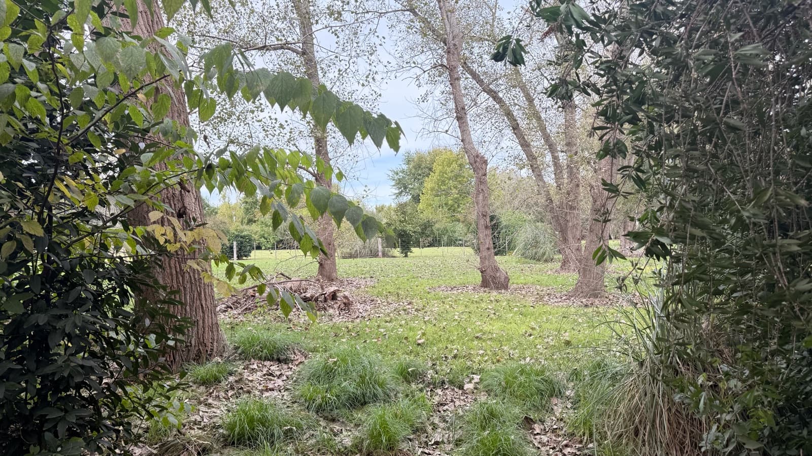 A place to start the life of your dreams! 4,011 m² lot in La Araucaria, Lobos