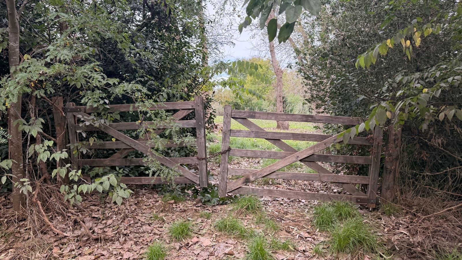 A place to start the life of your dreams! 4,011 m² lot in La Araucaria, Lobos