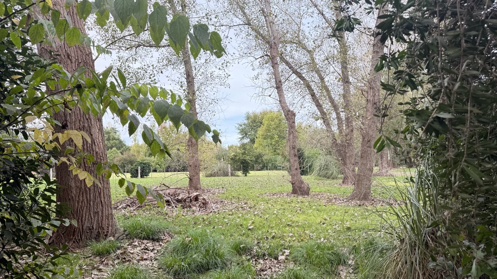 A place to start the life of your dreams! 4,011 m² lot in La Araucaria, Lobos